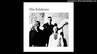 Video thumbnail of "Die Selektion - Muskelberg [a+w cd001]"