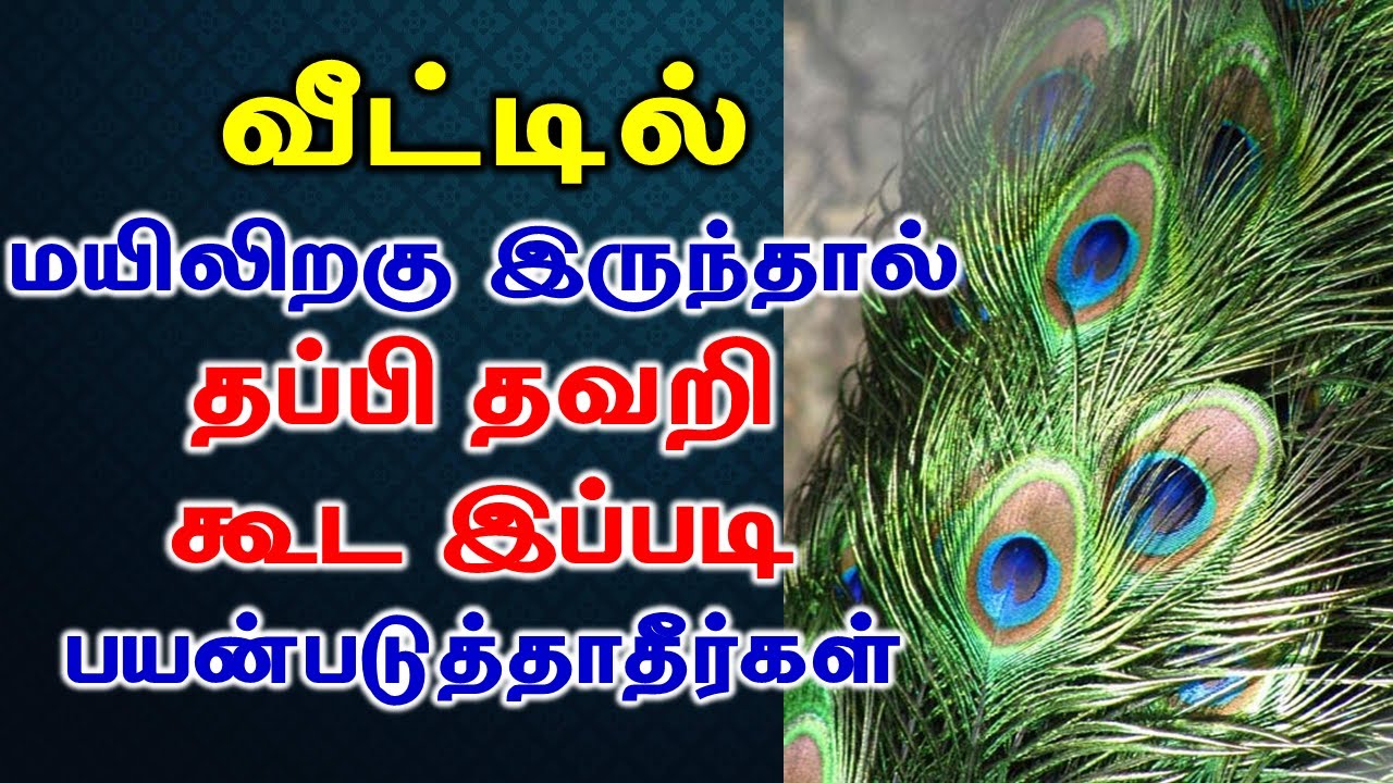 வீட்டில் மயிலிறகு இருந்தால் தப்பிதவறி கூட இப்படி பயன்படுத்தாதீர்கள் | Astrology Zone