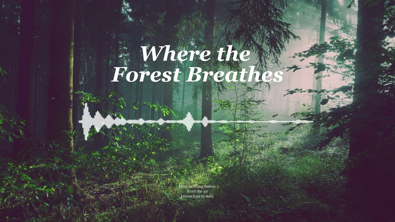 [A Song of Memory] Where You Can Breathe Without Hurry