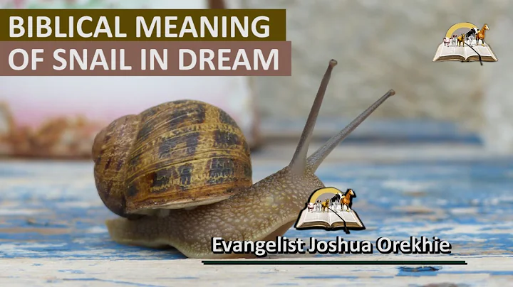 Biblical Meaning of SNAIL in Dream - Fact About Snails Dream Interpretation - DayDayNews