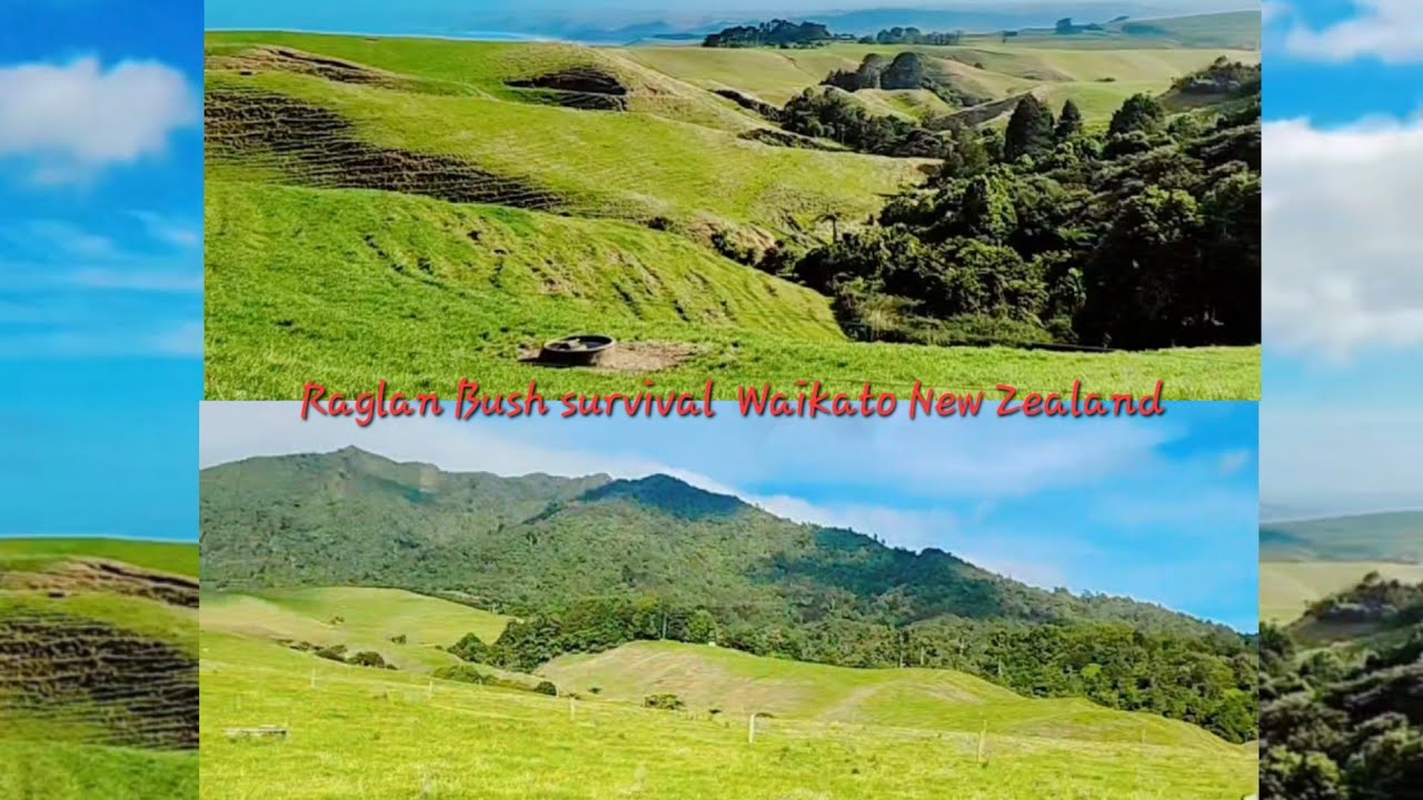 Camping trip second day - Driving kids to Bush walk survival Raglan Waikato New Zealand 