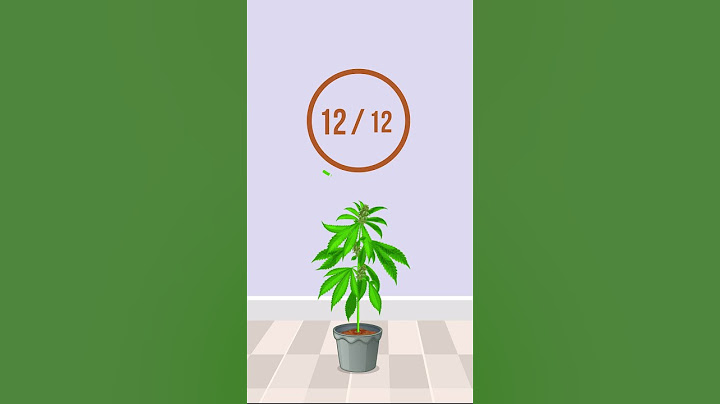 Cannabis Light Cycles