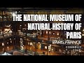 Visit the national museum of natural history of paris  paris  france  things to do in paris