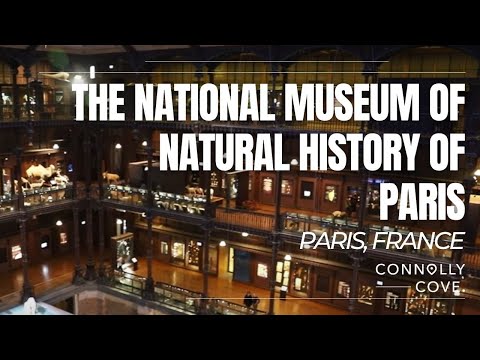 Video: Paryžiaus istorijos muziejus
