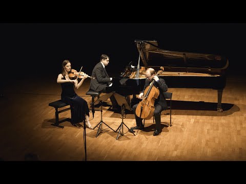 R. Schumann - Phantasiestücke, Op. 88: III. Duett (Live)