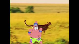 Spongebob - Patrick Runs Faster Then A Cheetah (The Patrick Star Show)