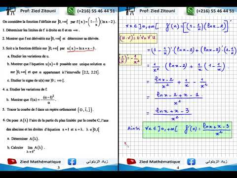 19 - Logarithme Népérien. Correction Exercice. Bac Math / Science / Technique / Info / Eco.