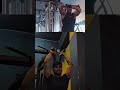 Cebum triceps exercise #cbum #triceps #exercise #gym
