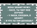 У Люси, соседке, в шкафу! Сборник Свежих Анекдотов! Юмор!