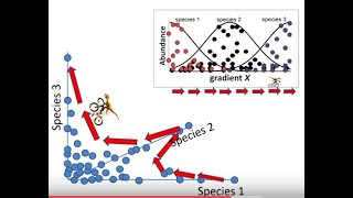 Big Three Challenges for Analysis of Ecological Community Data. Part1