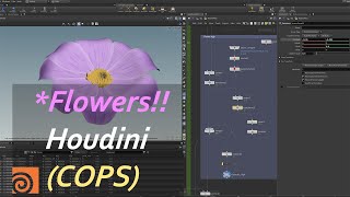 Flowers &amp; Houdini COPs !!