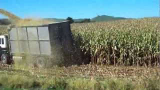 walling contracting