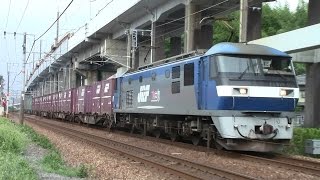 【山陽本線】JR貨物 EF210-161号機牽引 1050レ貨物列車