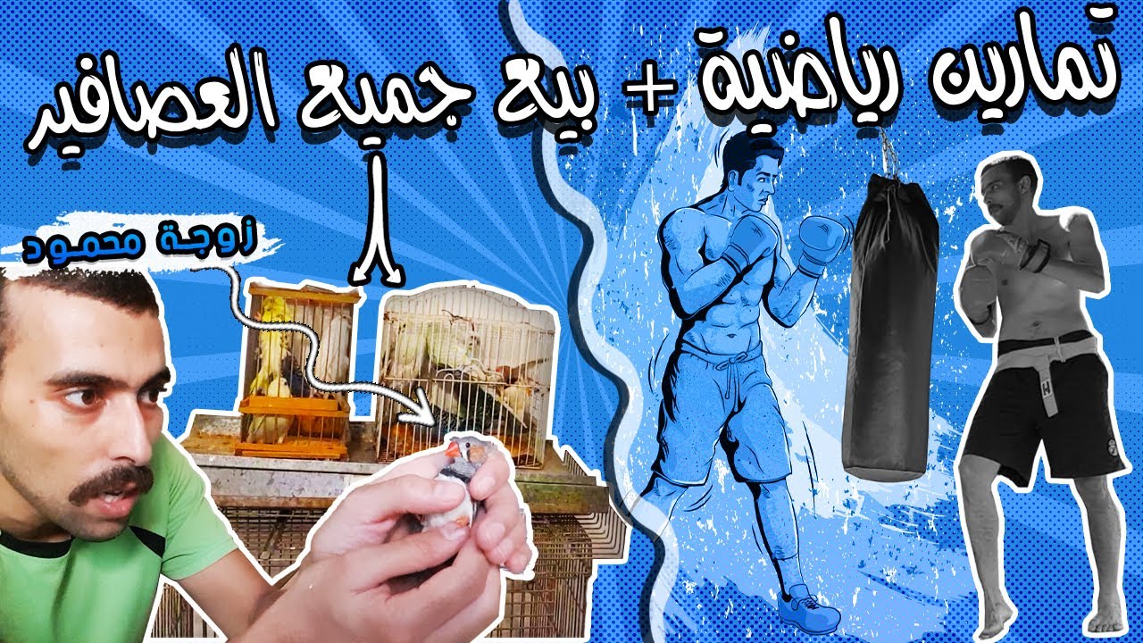 الرجوع ال الصفر و بيع كل الطيور بقاء الملك فقط