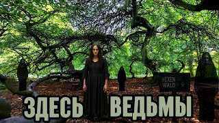 🔥 Хексенвальд (Лес Ведьм): проклятое место Германии 🌙