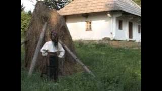 Dana Dancila-Hai la joc vecina lele