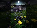 Urdu Islamic Quotes||Urdu Quotes||Shorts Video||Islamic Quotes||Urdu Poetry||Viral