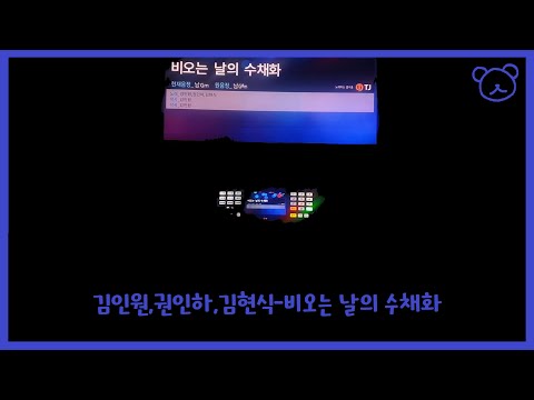 김인원,권인하,김현식-비오는 날의 수채화 노래방 커버