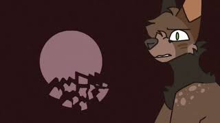 Flowers Meme || Filler