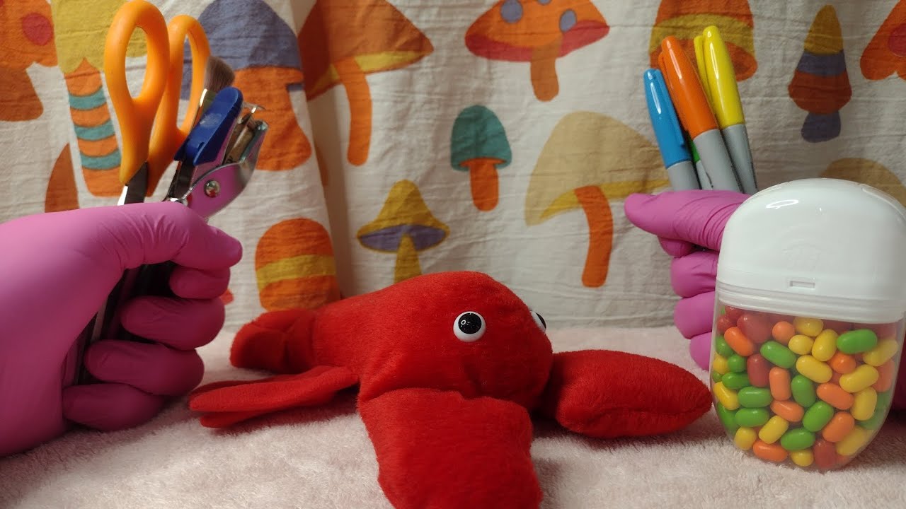 ASMR Cranial Nerve Exam 