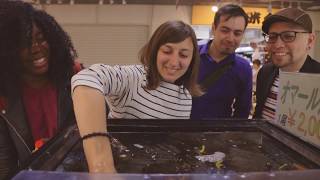 Arigato Japan Food Tours - Classic Tsukiji Insider's Tour of Local Market Town with Breakfast