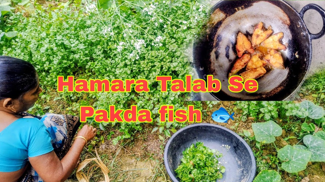 🌅Talab Se Pakda bada machi 🐠||🔥2025 Khatm December 31 Last 🥺 || 