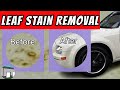 How to remove leaf stains from your car&#39;s finish easily.