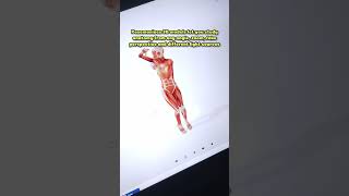 A must-know website for artists; POSEMANIACS! 💪 #artresources #howtodraw #learnanatomy #arttips