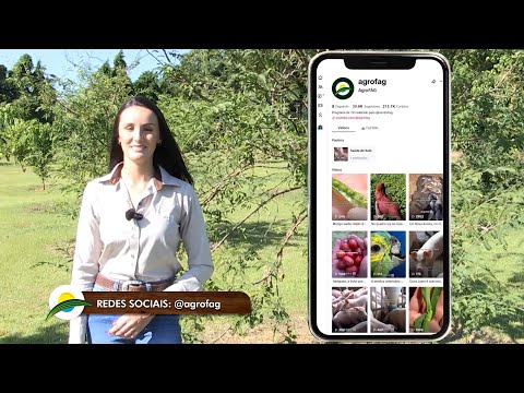 Iza na Fazenda:
