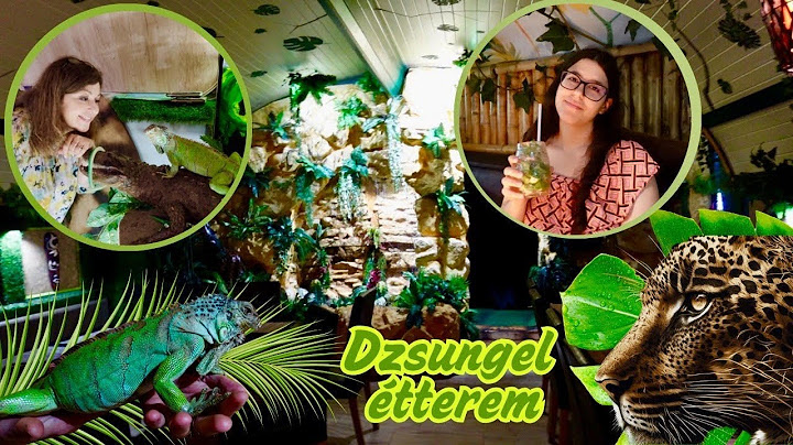 EBÉDELJ A DZSUNGELBEN, A SZAHARÁBAN VAGY TENGERBEN - EGZOTIKUS ÉTELEK A DZSUNGEL CAFE-BAN