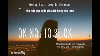 [Lyrics+ Vietsub] OK Not To Be OK - Marshmello ft. Demi Lovato