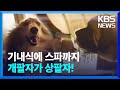 짐칸 대신 객실에서! 강아지를 위한 퍼스트 클래스 [경제콘서트] / KBS  2024.05.23.