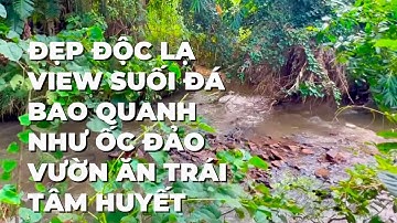 Cô chú nhung lớn tuổi 0 còn sức làm vườn muốn bán đất vườn cây ăn trái tâm huyết này