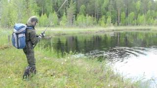 Рыбалка в Карелии 2015(Отлично порыбачили на лесном озере., 2015-06-15T19:57:19.000Z)