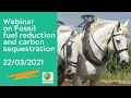 Aeeuseae webinar on fossil fuel reduction and carbon sequestration    22 03 2021 in spanish