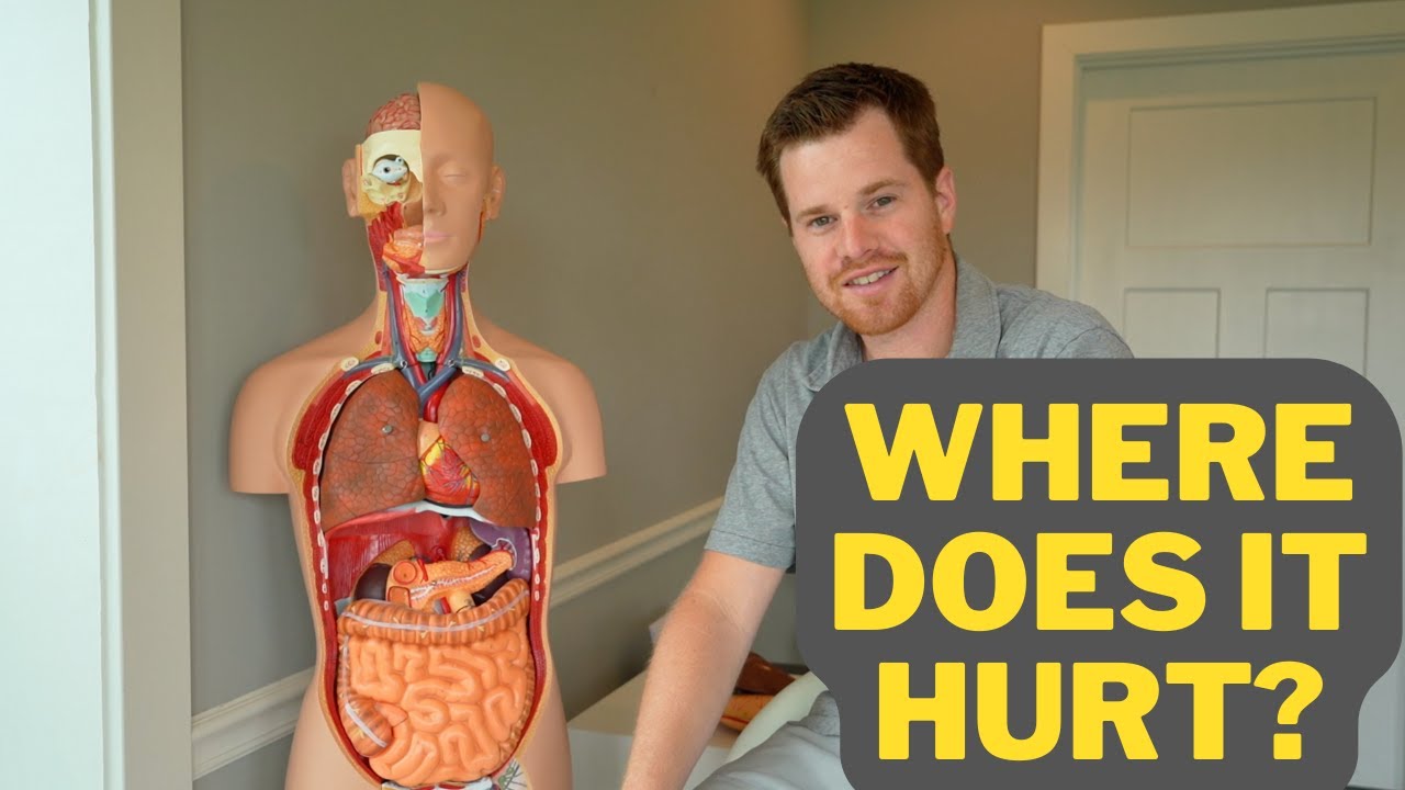 Your Stomach Pain Root Cause YouTube