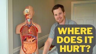 Your Stomach Pain Root Cause