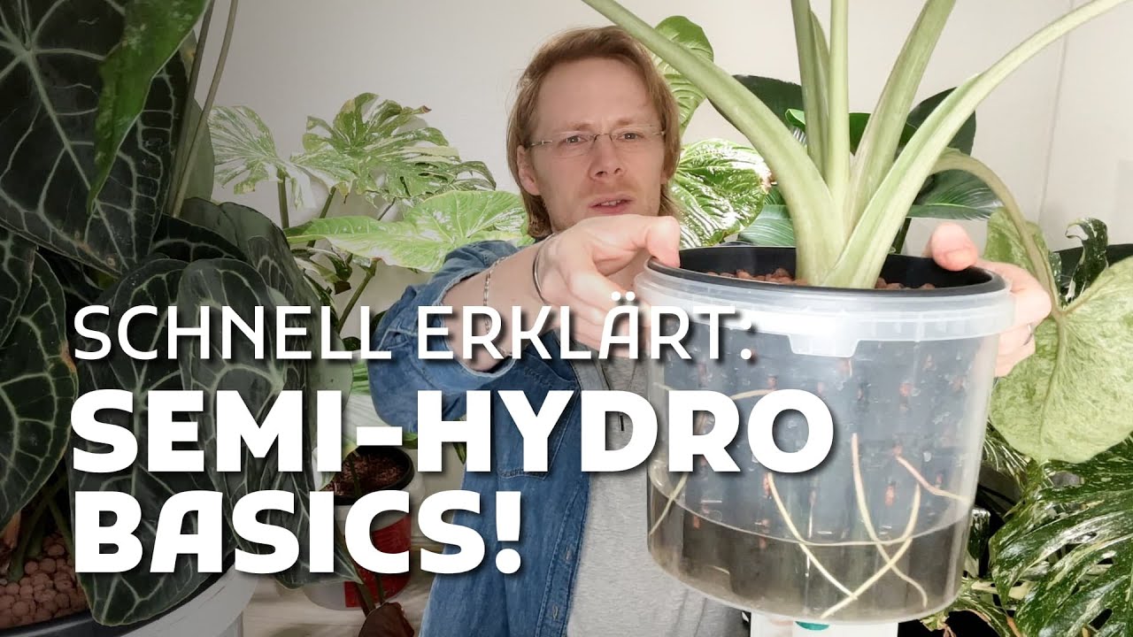 Semi-Hydro klingt kompliziert? In 15 Minuten wirst du’s lieben!