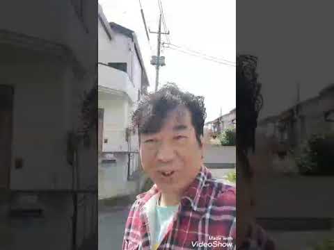 ブルージーンズメモリー⭐花見バージョン🎶💋💕