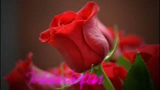 SIAPA SANGKA SIAPA MENDUGA~Liza Hanim~Lirik~