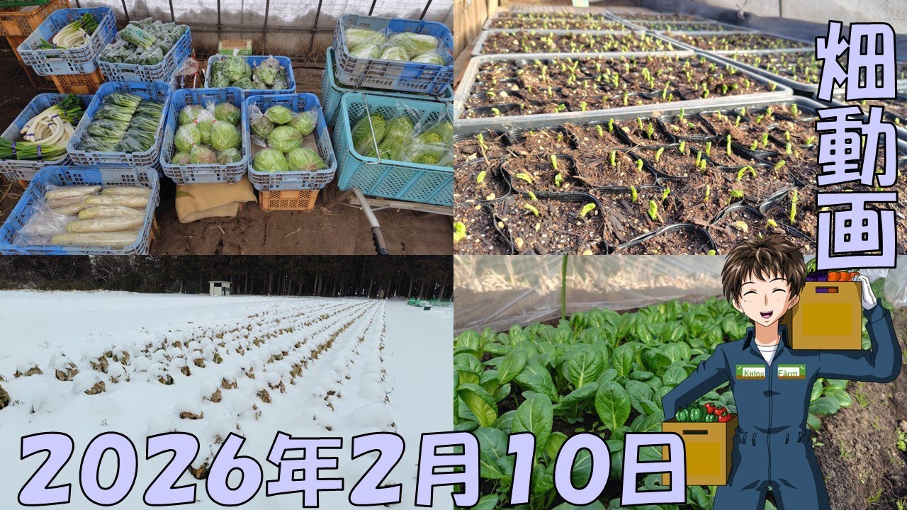 【26/2/10】今週は暖かいようなので春に向けての準備が進みそう！