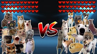15 Cats vs 15 Dogs! Meme battle