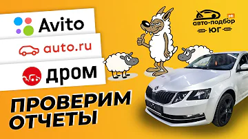 Сколько стоит полный отчет на Авито