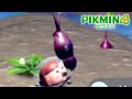ムラサキガテン土方【ピクミン4】