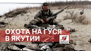 Весенняя охота на гуся в Якутии