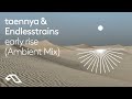 Taennya  endlesstrains  early rise ambient mix