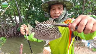 ตกปลาทะเลหมายพันท้าย หมานแต่ปลาตะกรับตัวสวยๆ