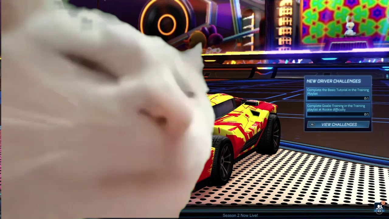 Cat vibing to Rocket League Intro [SD] - YouTube