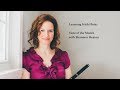 Learning Irish Flute - Tune of the Month with Shannon Heaton - Silver Spear [Reel]