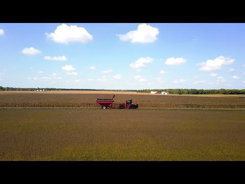 Video: Přívěs za pojízdný traktor – užitečný nástroj